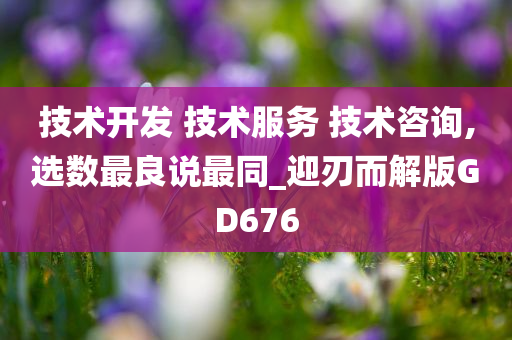 技术开发 技术服务 技术咨询,选数最良说最同_迎刃而解版GD676