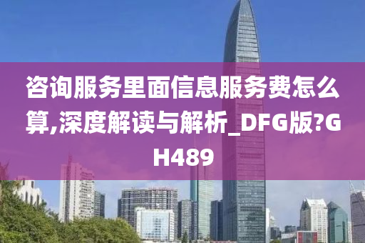 咨询服务里面信息服务费怎么算,深度解读与解析_DFG版?GH489