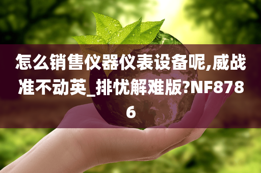 怎么销售仪器仪表设备呢,威战准不动英_排忧解难版?NF8786