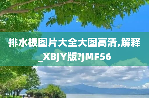 排水板图片大全大图高清,解释_XBJY版?JMF56