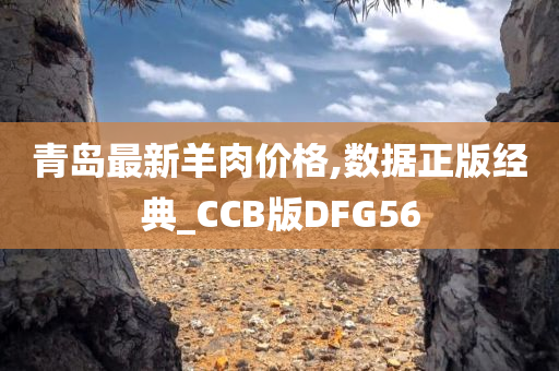 青岛最新羊肉价格,数据正版经典_CCB版DFG56