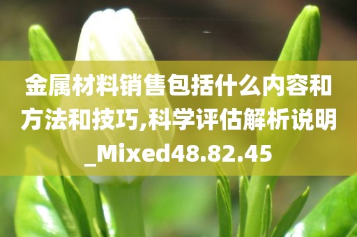 金属材料销售包括什么内容和方法和技巧,科学评估解析说明_Mixed48.82.45