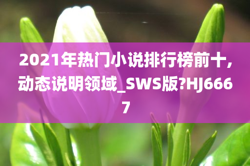 2021年热门小说排行榜前十,动态说明领域_SWS版?HJ6667