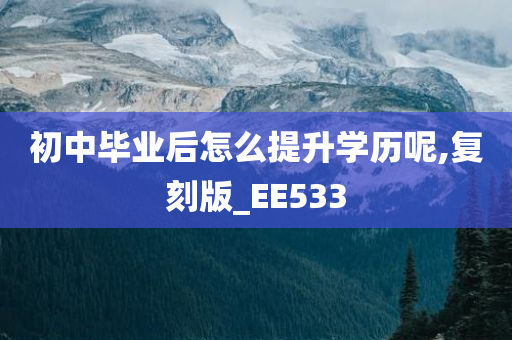 初中毕业后怎么提升学历呢,复刻版_EE533