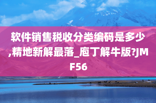 软件销售税收分类编码是多少,精地新解最落_庖丁解牛版?JMF56