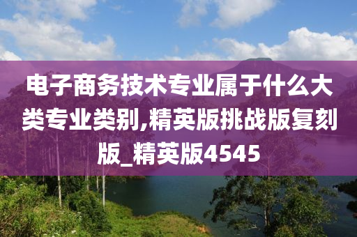 电子商务技术专业属于什么大类专业类别,精英版挑战版复刻版_精英版4545