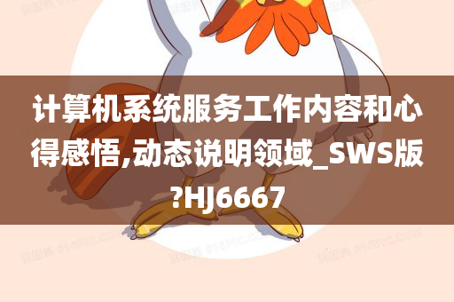 计算机系统服务工作内容和心得感悟,动态说明领域_SWS版?HJ6667