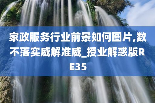 家政服务行业前景如何图片,数不落实威解准威_授业解惑版RE35