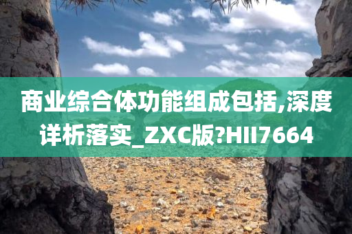 商业综合体功能组成包括,深度详析落实_ZXC版?HII7664