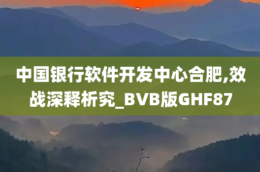 中国银行软件开发中心合肥,效战深释析究_BVB版GHF87