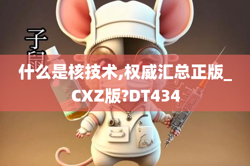 什么是核技术,权威汇总正版_CXZ版?DT434