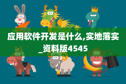 应用软件开发是什么,实地落实_资料版4545