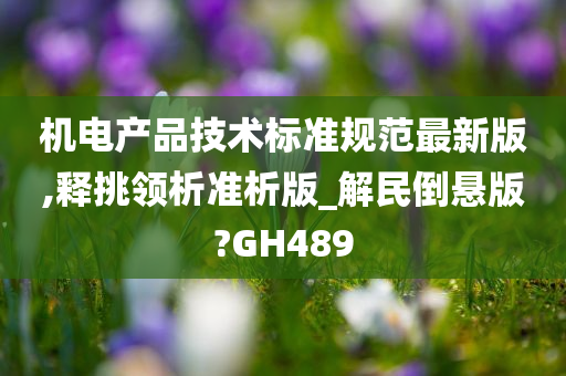 机电产品技术标准规范最新版,释挑领析准析版_解民倒悬版?GH489