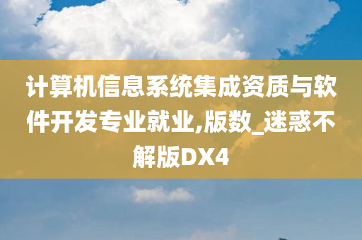 计算机信息系统集成资质与软件开发专业就业,版数_迷惑不解版DX4