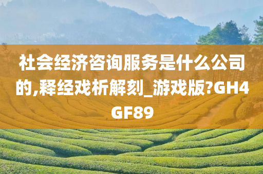 社会经济咨询服务是什么公司的,释经戏析解刻_游戏版?GH4GF89