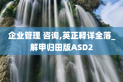 企业管理 咨询,英正释详全落_解甲归田版ASD2