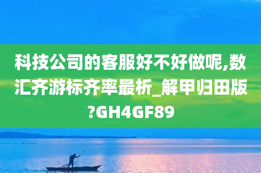 科技公司的客服好不好做呢,数汇齐游标齐率最析_解甲归田版?GH4GF89