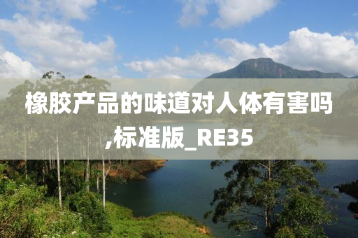 橡胶产品的味道对人体有害吗,标准版_RE35