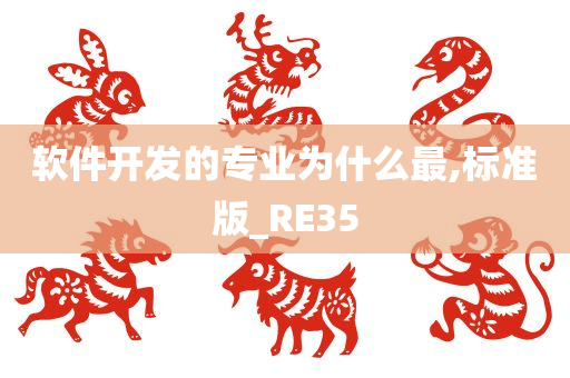 软件开发的专业为什么最,标准版_RE35