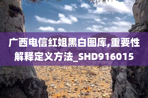 广西电信红姐黑白图库,重要性解释定义方法_SHD916015