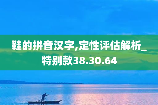 鞋的拼音汉字,定性评估解析_特别款38.30.64