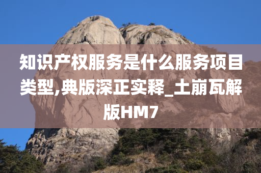 知识产权服务是什么服务项目类型,典版深正实释_土崩瓦解版HM7