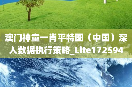 澳门神童一肖平特图（中国）深入数据执行策略_Lite172594