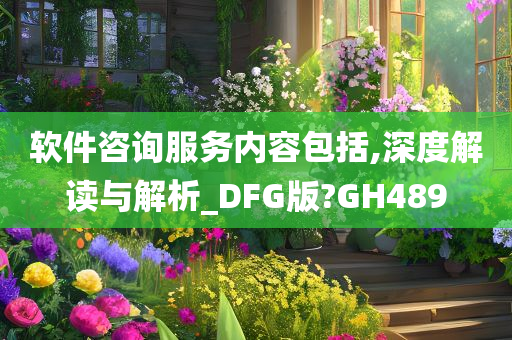 软件咨询服务内容包括,深度解读与解析_DFG版?GH489