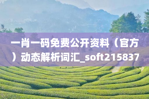 一肖一码免费公开资料（官方）动态解析词汇_soft215837