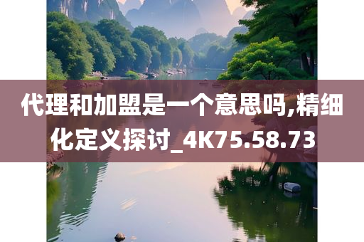 代理和加盟是一个意思吗,精细化定义探讨_4K75.58.73