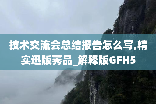 技术交流会总结报告怎么写,精实迅版莠品_解释版GFH5