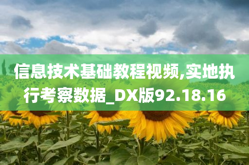 信息技术基础教程视频,实地执行考察数据_DX版92.18.16