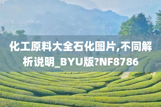 化工原料大全石化图片,不同解析说明_BYU版?NF8786