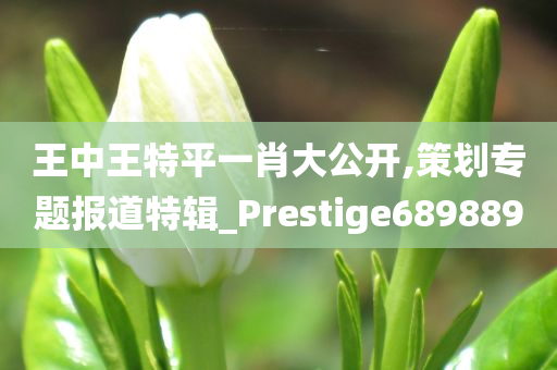 王中王特平一肖大公开,策划专题报道特辑_Prestige689889