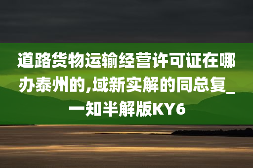 道路货物运输经营许可证在哪办泰州的,域新实解的同总复_一知半解版KY6