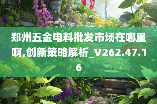 郑州五金电料批发市场在哪里啊,创新策略解析_V262.47.16