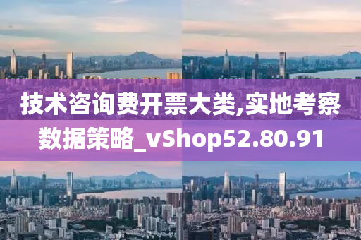 技术咨询费开票大类,实地考察数据策略_vShop52.80.91