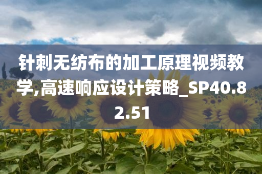 针刺无纺布的加工原理视频教学,高速响应设计策略_SP40.82.51