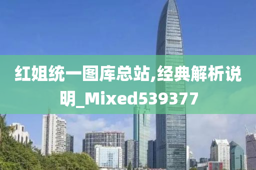 红姐统一图库总站,经典解析说明_Mixed539377