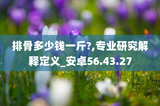 排骨多少钱一斤?,专业研究解释定义_安卓56.43.27