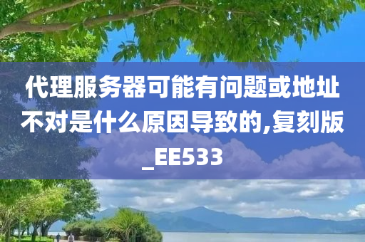 代理服务器可能有问题或地址不对是什么原因导致的,复刻版_EE533