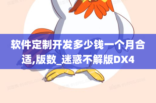 软件定制开发多少钱一个月合适,版数_迷惑不解版DX4