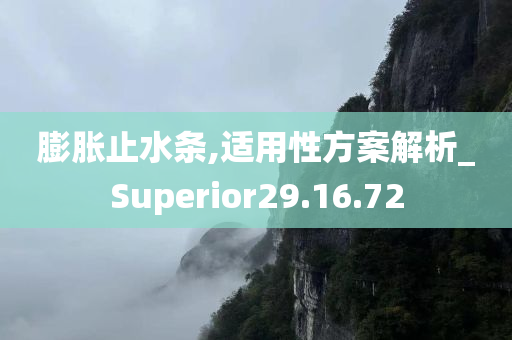 膨胀止水条,适用性方案解析_Superior29.16.72