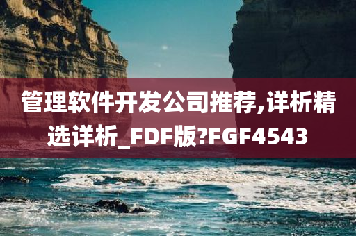 管理软件开发公司推荐,详析精选详析_FDF版?FGF4543