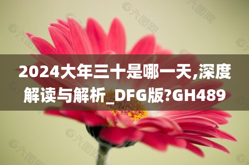 2024大年三十是哪一天,深度解读与解析_DFG版?GH489