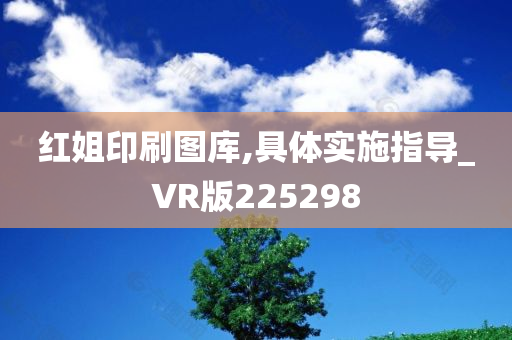 红姐印刷图库,具体实施指导_VR版225298