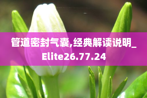 管道密封气囊,经典解读说明_Elite26.77.24