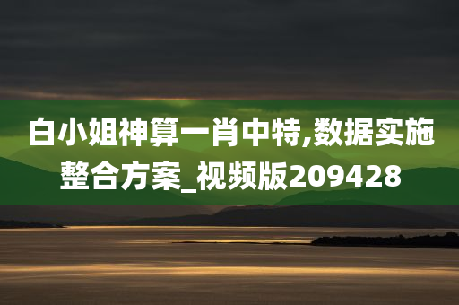 白小姐神算一肖中特,数据实施整合方案_视频版209428