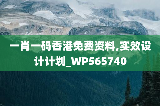 一肖一码香港免费资料,实效设计计划_WP565740