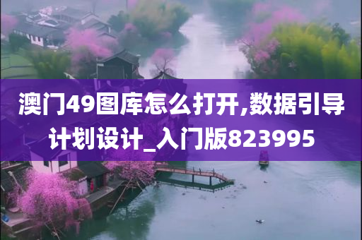 澳门49图库怎么打开,数据引导计划设计_入门版823995